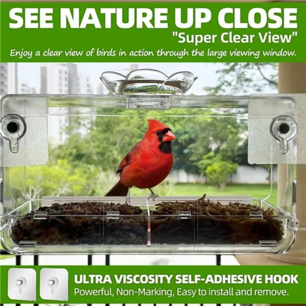 Window Bird Feeder with Non-Marking Self-Adhesive Hooks, Clear and Transparent